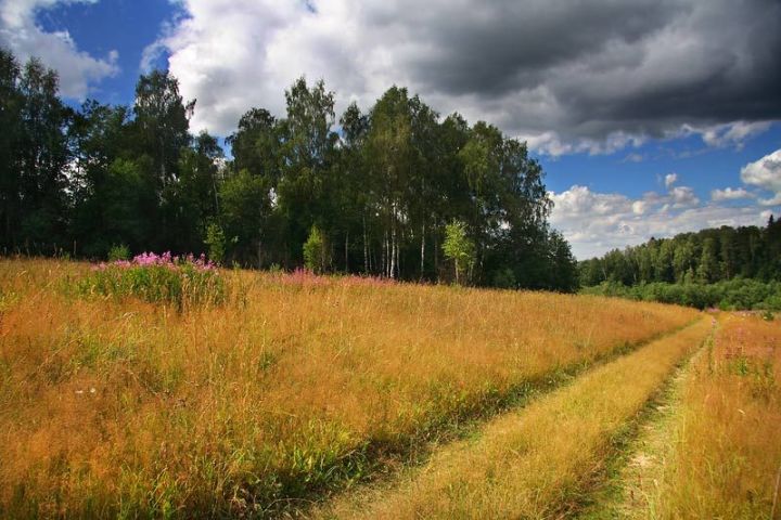 Народные приметы верхнеуслонцам на 27 августа – Михеев день, Михей-тиховей