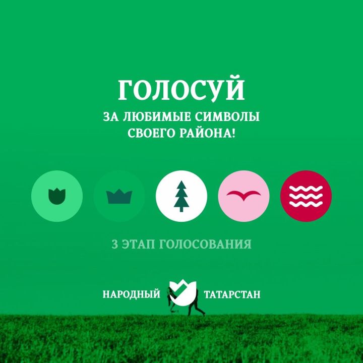 Стартовал финальный этап конкурса по выбору 10 главных символов Татарстана