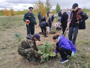 Бурнашевцы приняли участие в экологической акции «Посади дерево»
