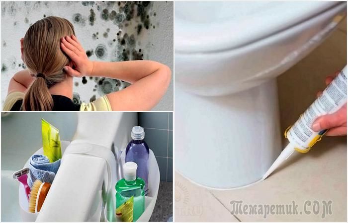 8 советов, которые помогут защитить ванную комнату от вражеской плесени и грибка