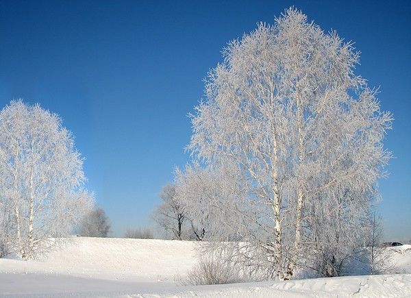 Народные приметы верхнеуслонцам на 23 января – Григорий-летоуказатель