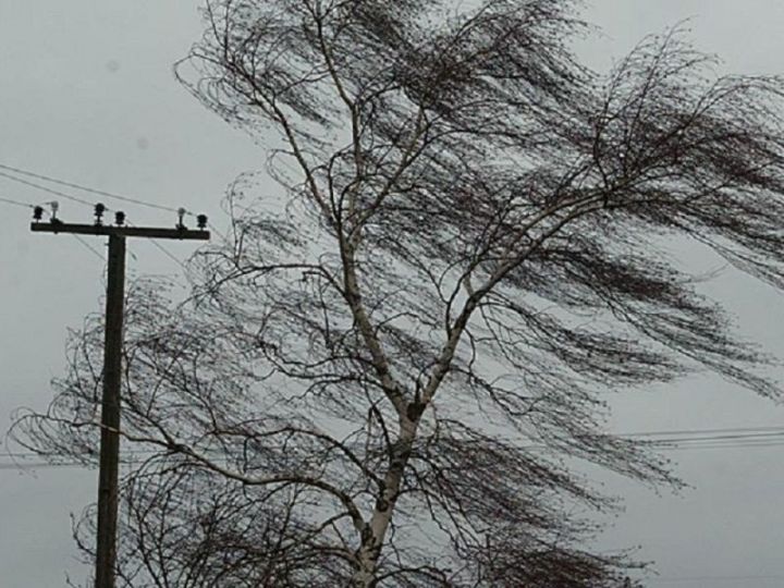 Синоптики Татарстана вновь предупреждают о сильном ветре, мокром снеге и гололедице