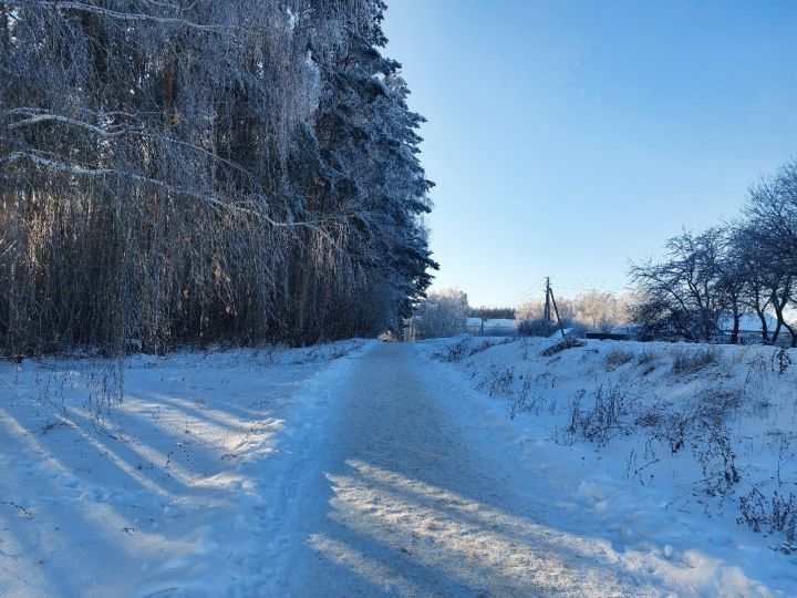 Народные приметы на 8 декабря 2022 года