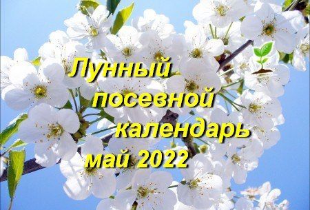 Лунный календарь для садоводов и огородников Верхнеуслонского района на май