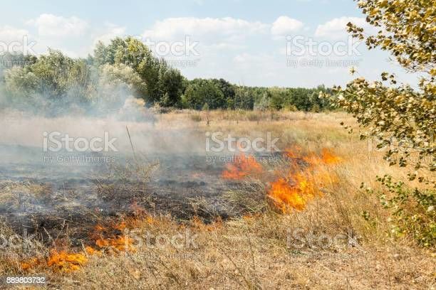 В Верхнеуслонском районе за сжигание сухой травы оштрафованы восемь человек
