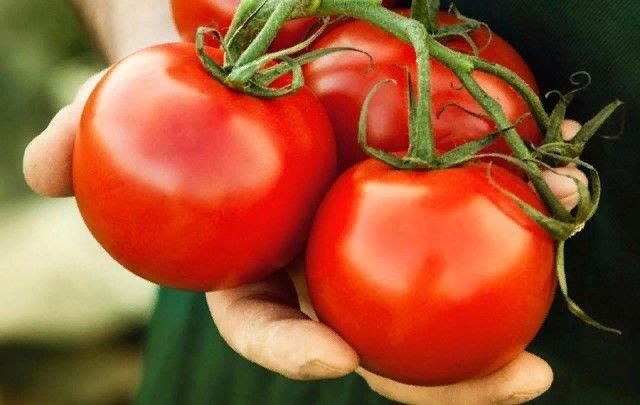 Поторопим томаты, чтобы быстрее краснели