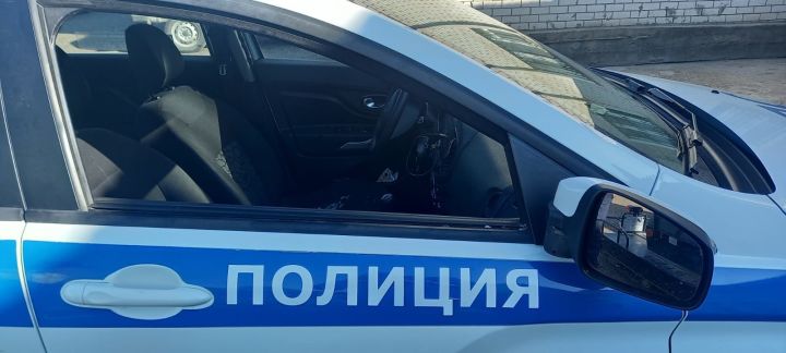 Родственники нетрезвой автоледи напали на сотрудников ДПС в Татарстане
