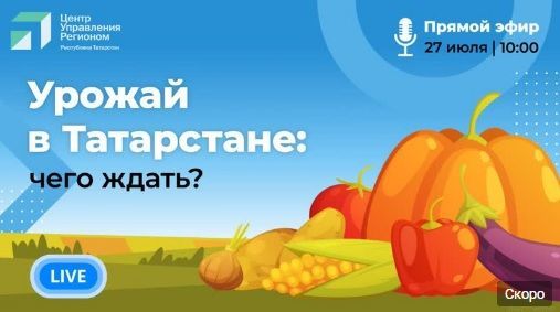 Татарстанцам расскажут о видах на урожай
