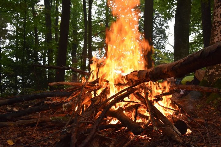 В Татарстане объявили штормовое предупреждение из-за высокой пожароопасности лесов