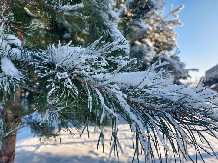 Народные приметы на 9 февраля 2023 года