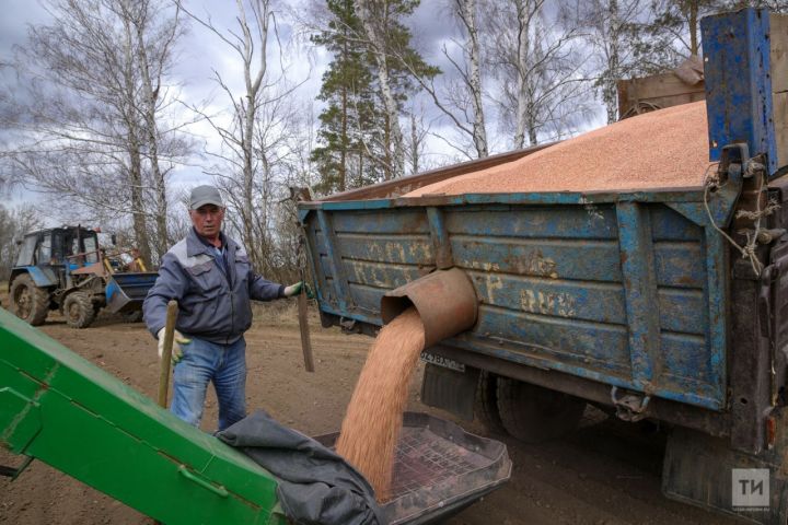 В Татарстане на весенне-полевые работы направят более 37 миллиардов рублей