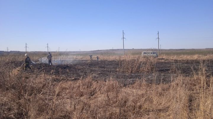 С 17 апреля в Татарстане запрещено сжигать мусор, траву и жарить шашлыки