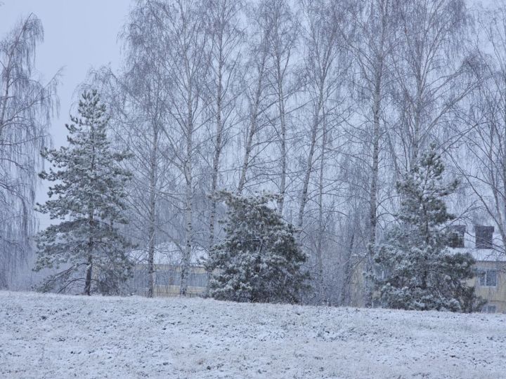 Синоптики рассказали, когда в Татарстан придут морозы