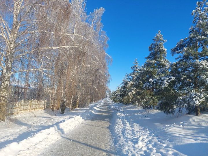 Какой будет погода в Верхнеуслонском районе 25 декабря 2024 года