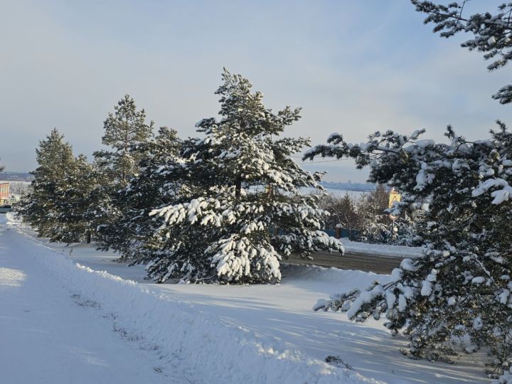 Какой будет погода в Верхнеуслонском районе 26 декабря 2024 года