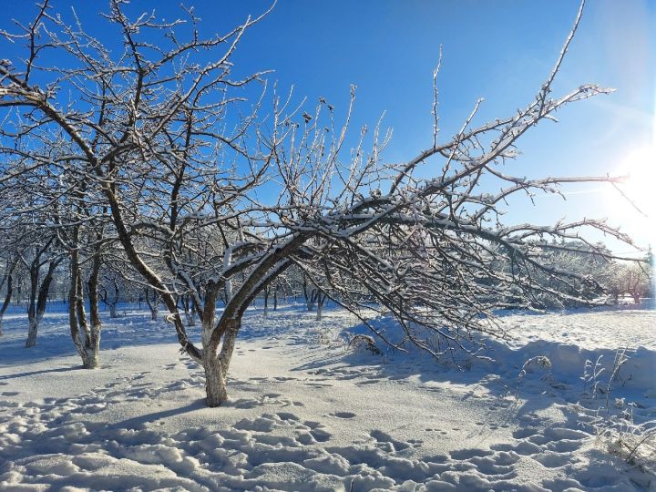 Народные приметы на 17 февраля 2024 года: что можно и чего нельзя делать в этот день