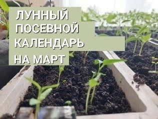 Лунный календарь садовода и огородника на март 2024 года