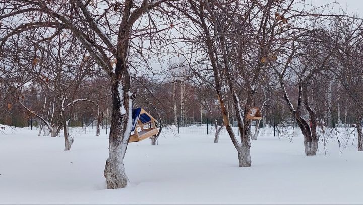 Народные приметы на 8 марта 2024 года: что можно и чего нельзя делать в этот день