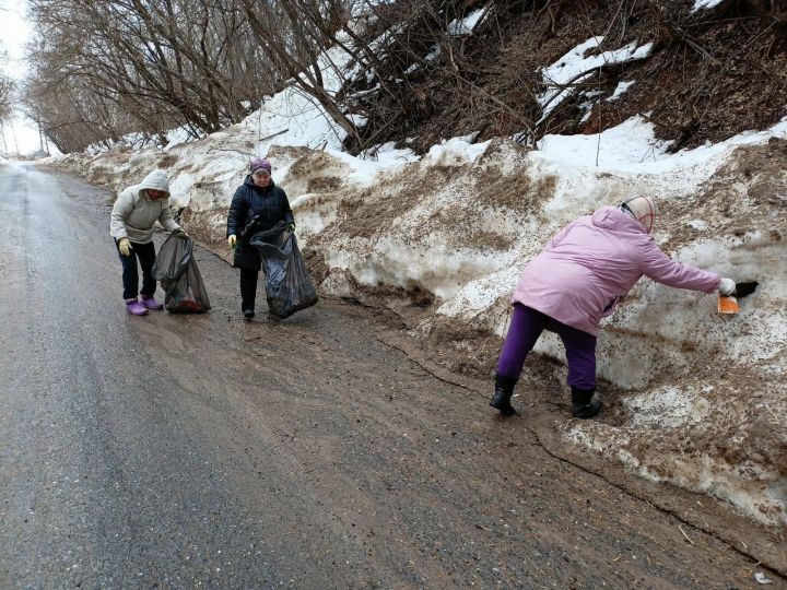 Печищинцы одними из первых вышли на уборку родного села