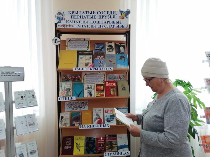 Канатлы кошларыбыз, канатлы дусларыбыз