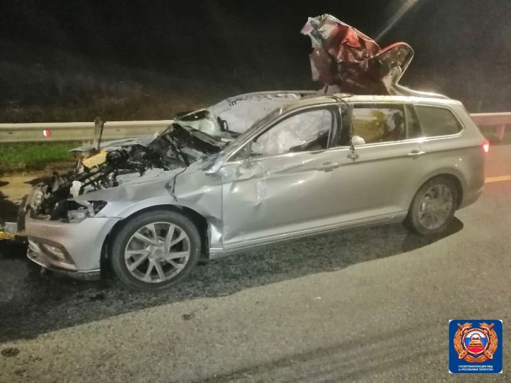 В Татарстане на трассе М-12 из-за выбежавшего на дорогу лося погиб водитель иномарки