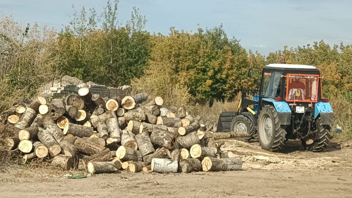 В Верхнеуслонском районе семьям участников СВО помогли заготовить дрова