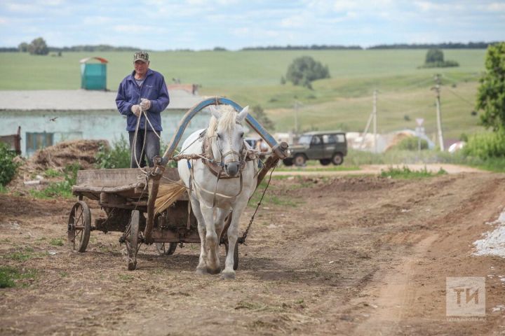 Календарь огородника: как сохранить удобрения зимой