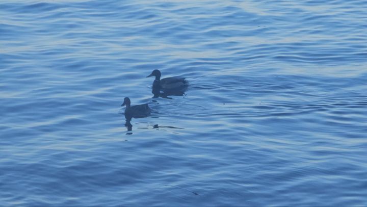 11 октября 2025: народные приметы, традиции и праздники