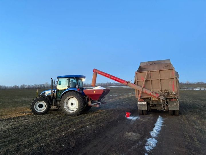 В Верхнеуслонском районе приступили к подкормке озимых культур