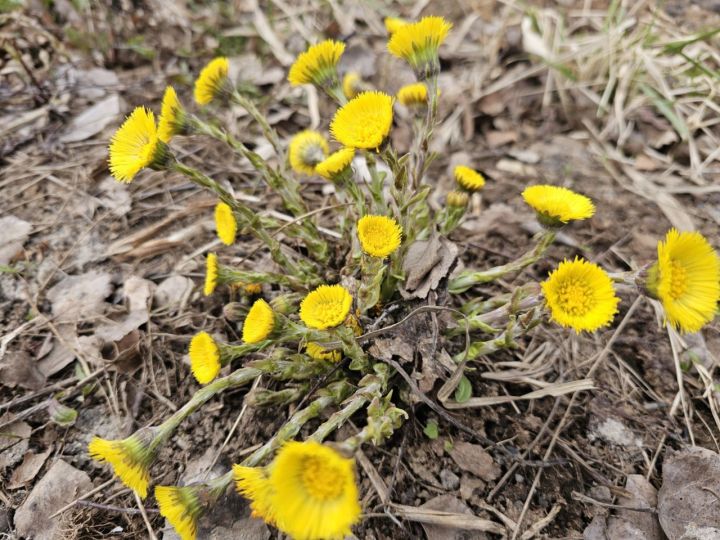 Какой будет погода в Верхнеуслонском районе 14 апреля 2025 года