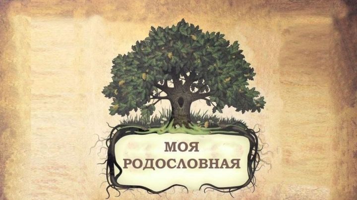В Верхнеуслонском районе подвели итоги конкурса «Моя родословная»