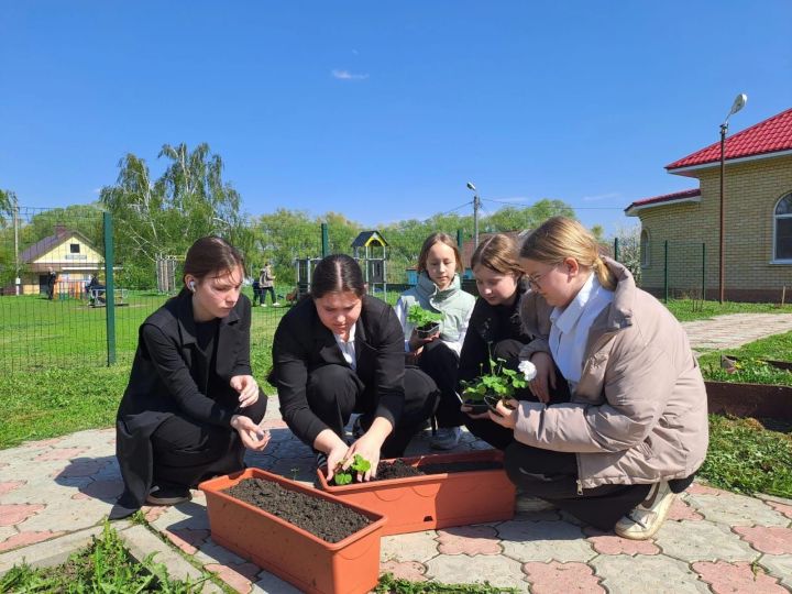 Татар Борнашында Хәтер урыннарын чистарттылар