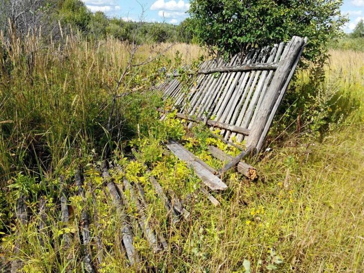 В Татарстане выявлено почти 3 тысячи свободных участков для строительства