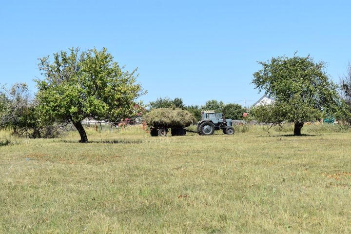 22 августа: приметы, праздники, события