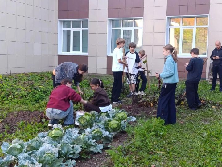 Югары Ослан мәктәбендә экологик тәрбия айлыгы уза