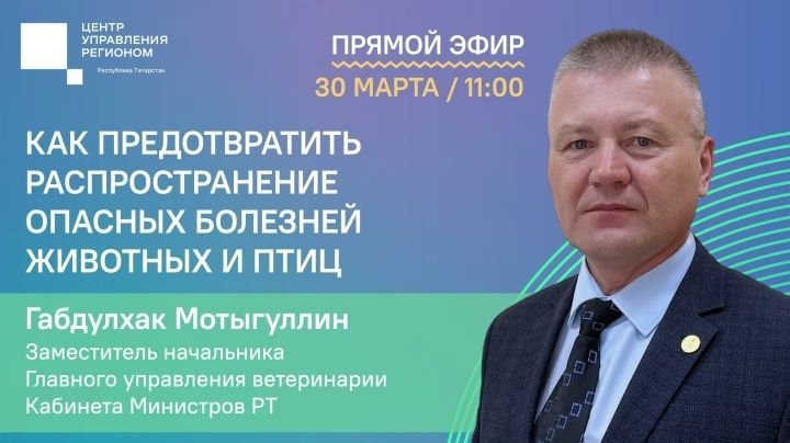 Прямой эфир об инфекциях животных и птиц проведут в Татарстане 30 марта