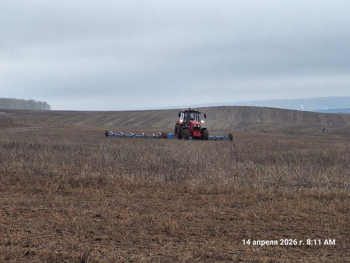 Хозяйства Верхнеуслонского района приступили к закрытию влаги