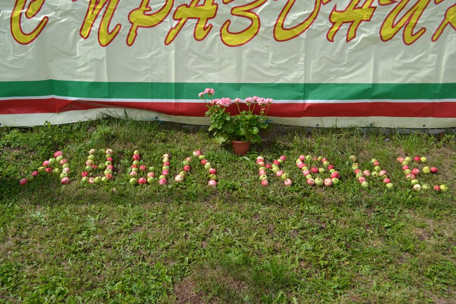 На праздничном майдане были созданы яркие фотозоны
