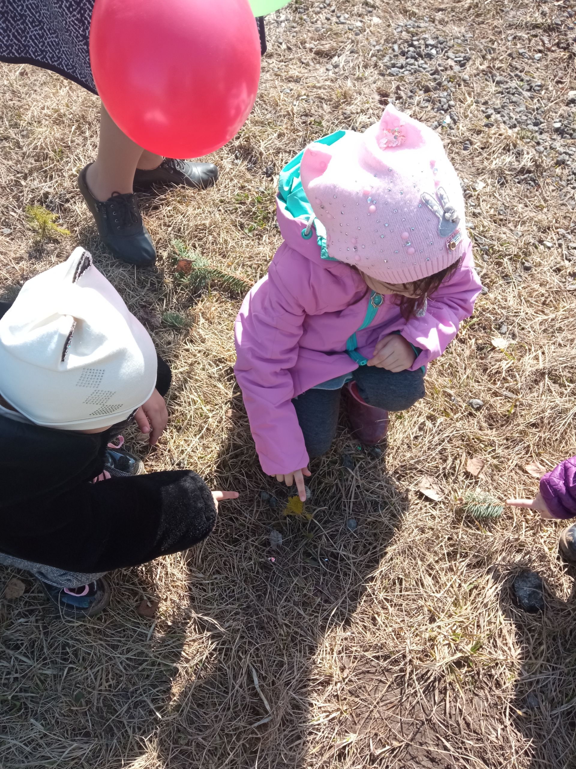 Печищинские ребятишки совершили экологическое путешествие