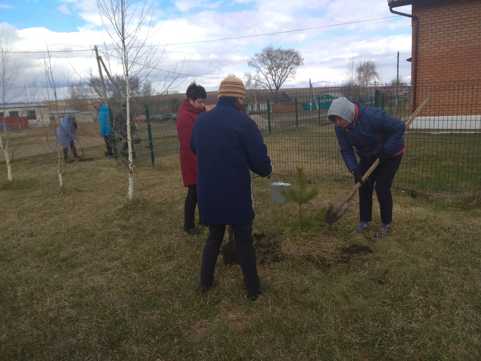 На территории Кильдеевского СДК посадили саженцы сосны