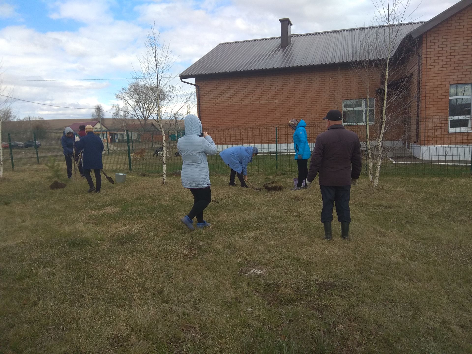 На территории Кильдеевского СДК посадили саженцы сосны