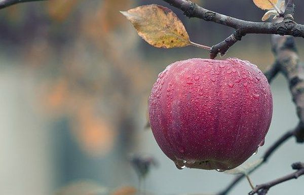 Прогноз погоды на 11 ноября 2023 года