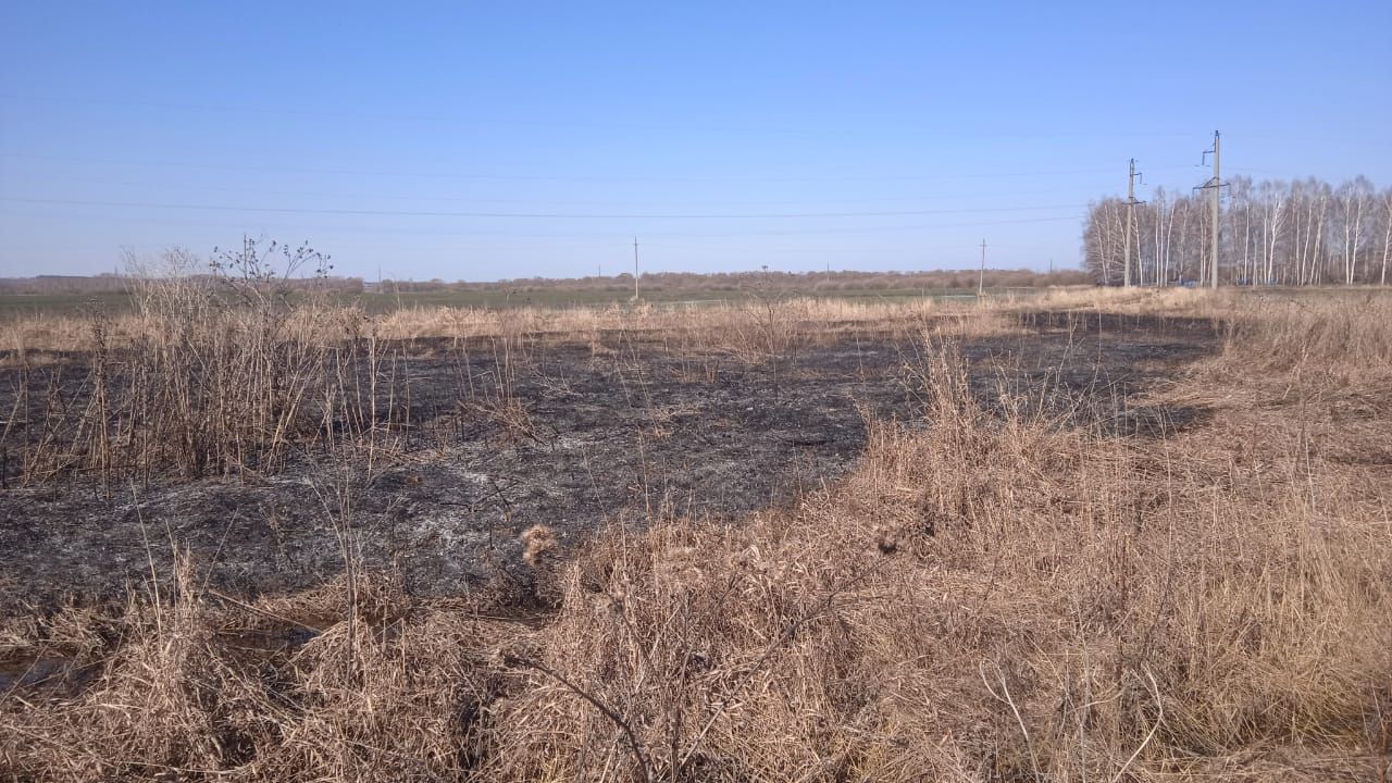 МЧС предупреждает: сжигание старой травы может привести к большому пожару
