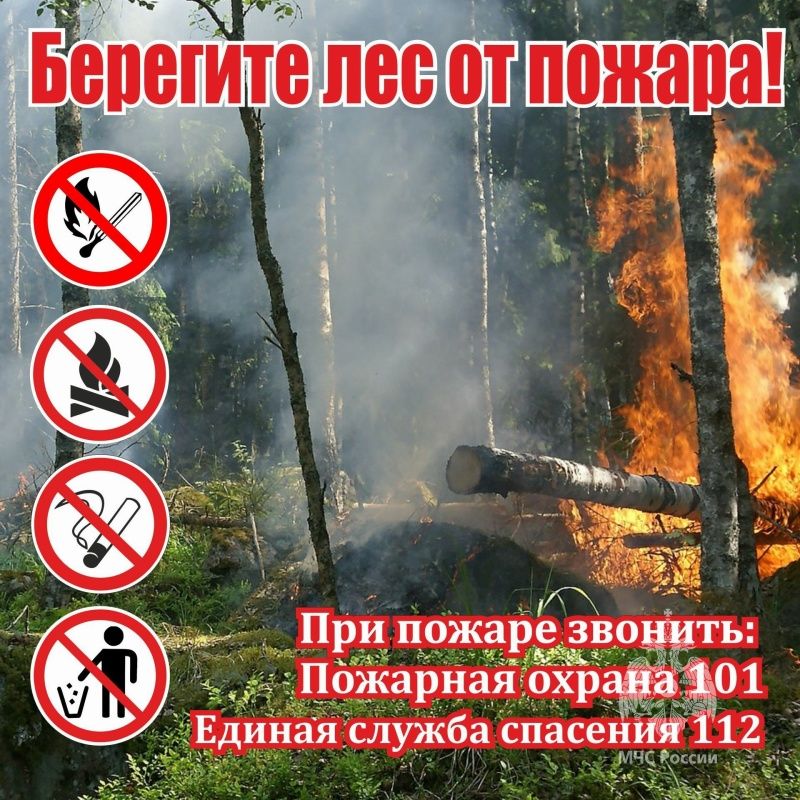 В Татарстане вновь продлили штормовое предупреждение о высокой пожароопасности лесов