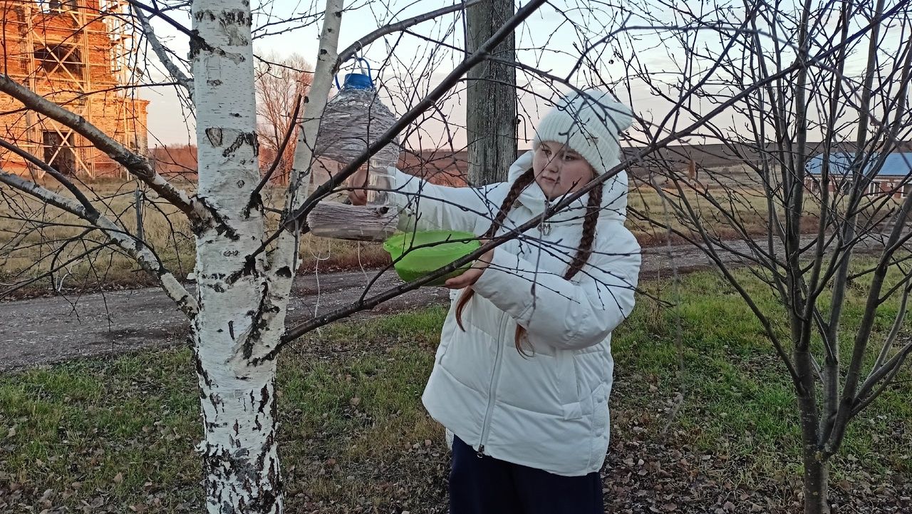 В Кильдееве отметили Синичкин день