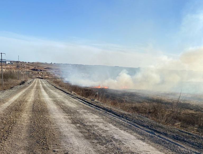 В Россельхознадзоре по РТ напомнили об опасности выжигания сухой травы