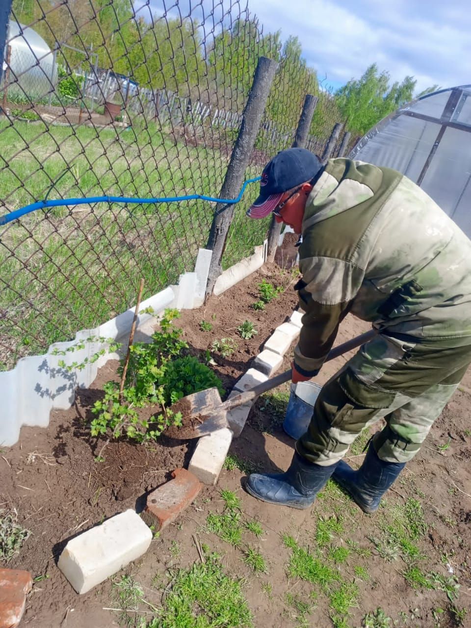 В Кильдееве высадили саженцы деревьев и кустарников в рамках Всемирного дня посадки леса