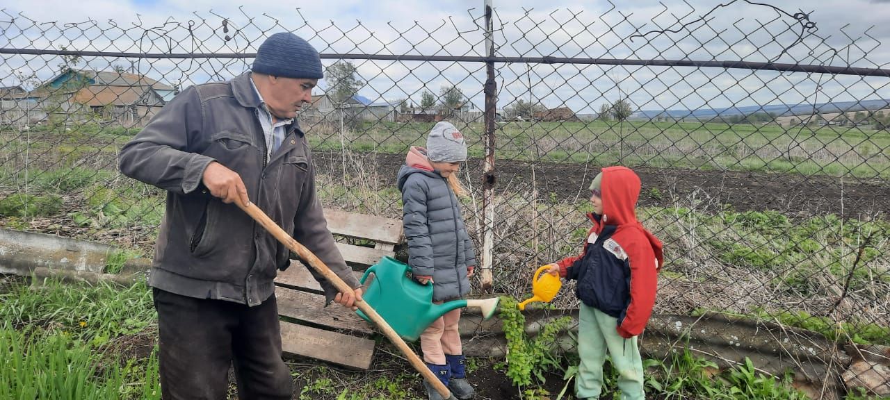 В Кильдееве высадили саженцы деревьев и кустарников в рамках Всемирного дня посадки леса