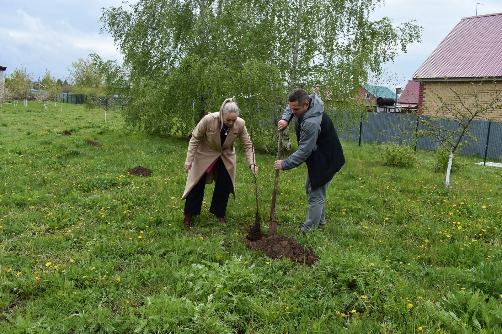 В Верхнем Услоне по национальному проекту заложили яблоневый сад