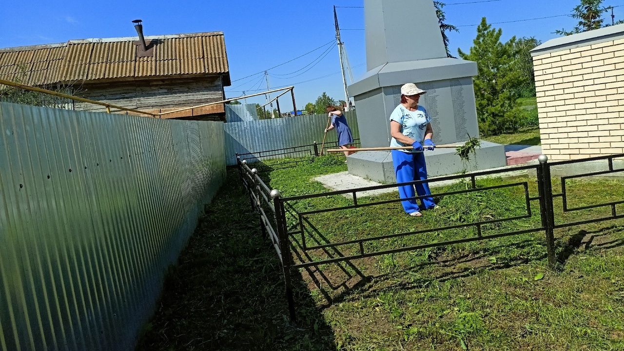 В Кильдееве провели акцию «Чистый обелиск»